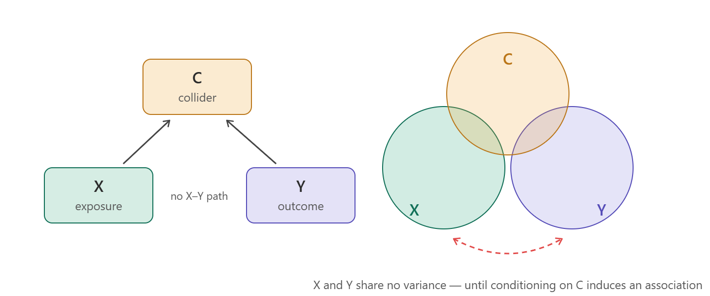Collider: both the exposure X and the outcome Y affect C; X and Y share no variance until conditioning on C induces an association.