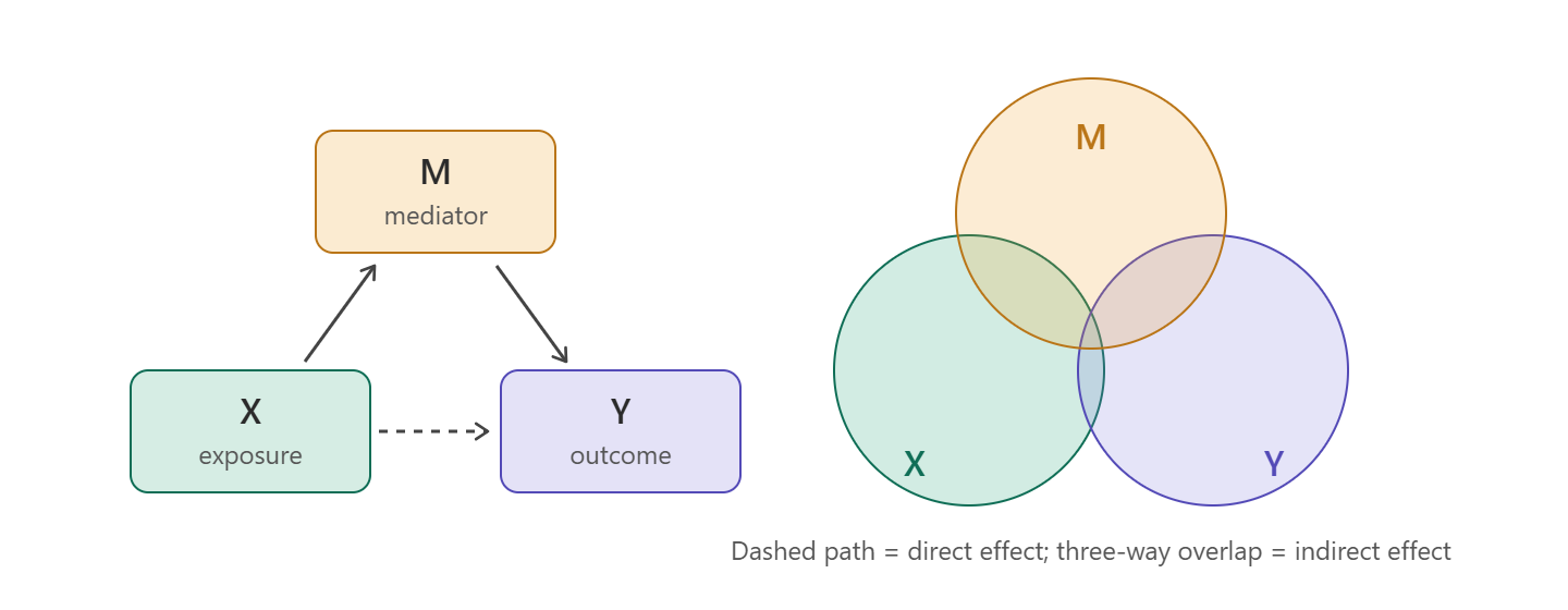 Mediation: the exposure X affects the mediator M, which affects the outcome Y, alongside a direct path from X to Y; overlapping circles show the shared variation.