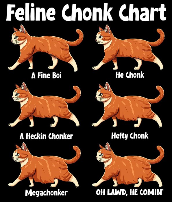 Feline Chonk Chart: six orange cats from thinnest to fattest labeled A Fine Boi, He Chonk, A Heckin Chonker, Hefty Chonk, Megachonker, and OH LAWD HE COMIN.